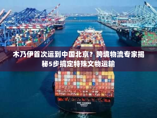 木乃伊首次运到中国北京?跨境物流专家揭秘5步搞定特殊文物运输 木乃伊首次运到中国北京?跨境物流专家揭秘5步搞定特殊文物运输