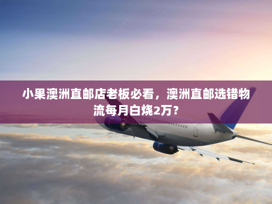 小果澳洲直邮店老板必看,澳洲直邮选错物流每月白烧2万? 小果澳洲直邮店老板必看,澳洲直邮选错物流每月白烧2万?