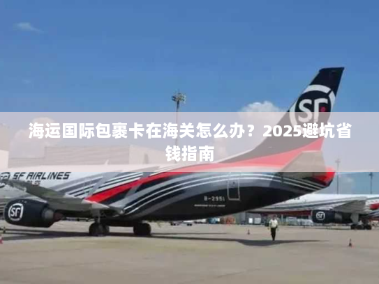 海运国际包裹卡在海关怎么办？2025避坑省钱指南