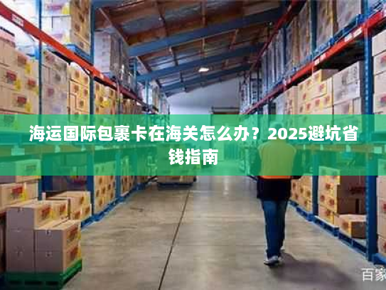 海运国际包裹卡在海关怎么办？2025避坑省钱指南