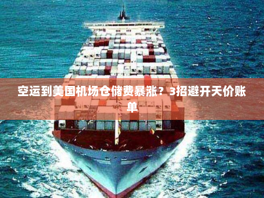 空运到美国机场仓储费暴涨?3招避开天价账单