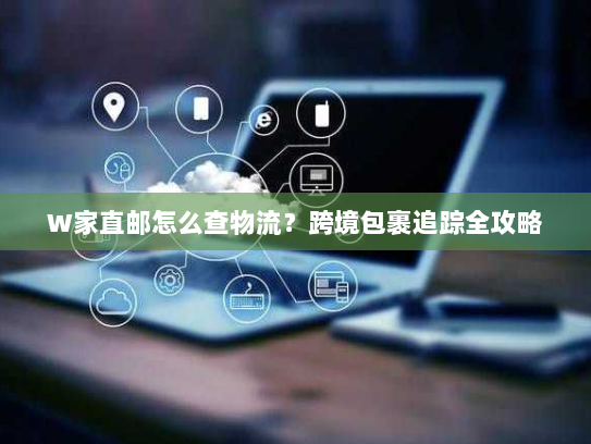 W家直邮怎么查物流？跨境包裹追踪全攻略