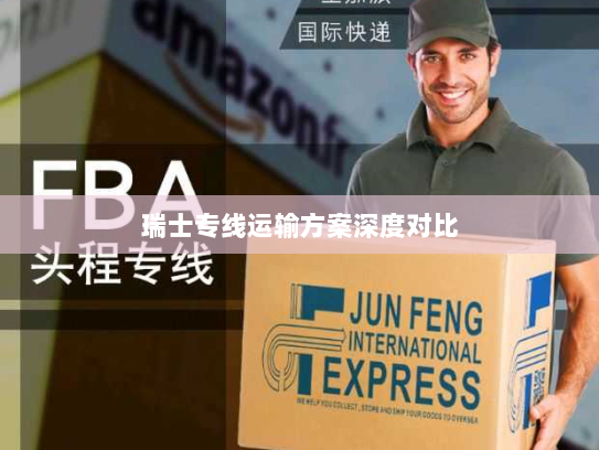 瑞士专线运输方案深度对比