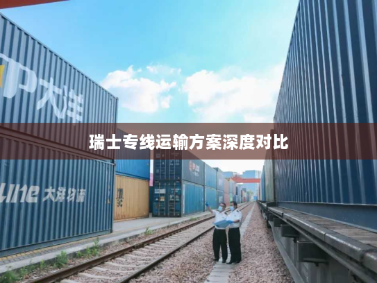 瑞士专线运输方案深度对比