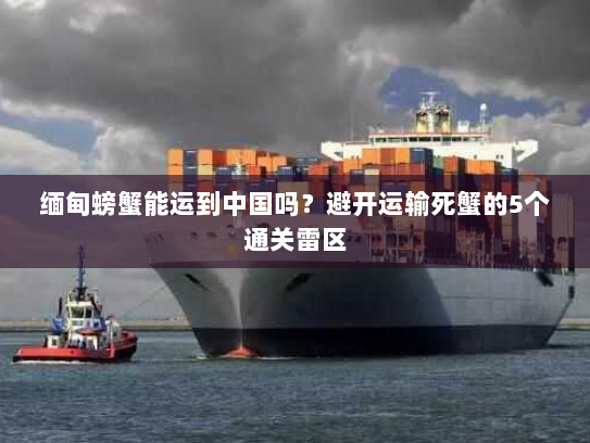 缅甸螃蟹能运到中国吗?避开运输死蟹的5个通关雷区 缅甸螃蟹能运到中国吗?避开运输死蟹的5个通关雷区
