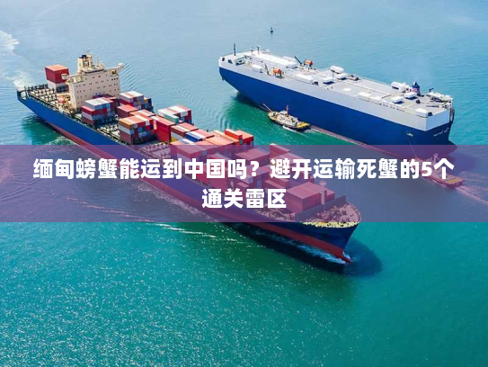 缅甸螃蟹能运到中国吗?避开运输死蟹的5个通关雷区 缅甸螃蟹能运到中国吗?避开运输死蟹的5个通关雷区