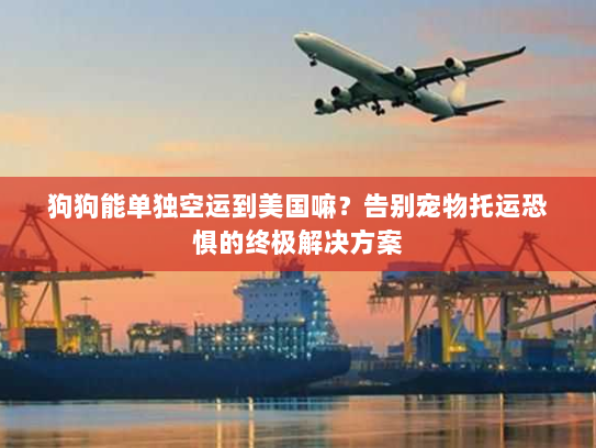 狗狗能单独空运到美国嘛?告别宠物托运恐惧的终极解决方案 狗狗能单独空运到美国嘛?告别宠物托运恐惧的终极解决方案