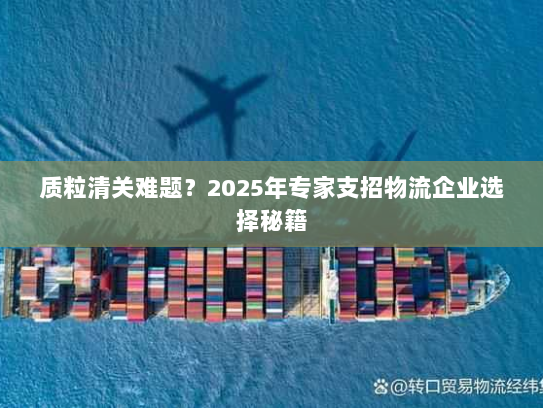 质粒清关难题？2025年专家支招物流企业选择秘籍