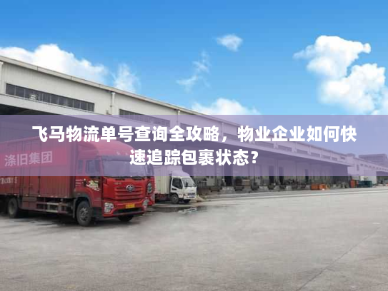 飞马物流单号查询全攻略，物业企业如何快速追踪包裹状态？