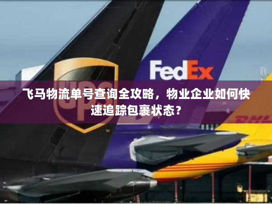 飞马物流单号查询全攻略，物业企业如何快速追踪包裹状态？