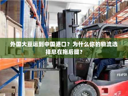 外国大豆运到中国港口?为什么你的物流选择总在拖后腿? 外国大豆运到中国港口?为什么你的物流选择总在拖后腿?