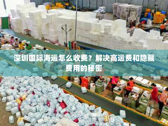 深圳国际海运怎么收费?解决高运费和隐藏费用的秘密 深圳国际海运怎么收费?解决高运费和隐藏费用的秘密