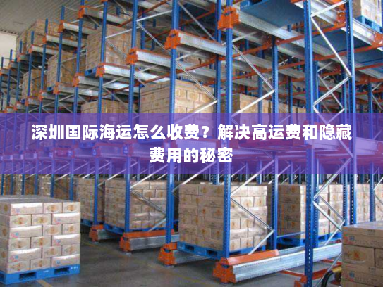 深圳国际海运怎么收费?解决高运费和隐藏费用的秘密 深圳国际海运怎么收费?解决高运费和隐藏费用的秘密