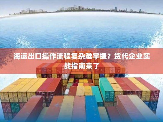 海运出口操作流程复杂难掌握？货代企业实战指南来了