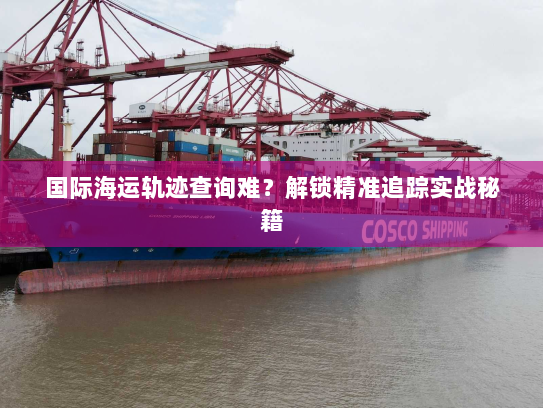 国际海运轨迹查询难?解锁精准追踪实战秘籍 国际海运轨迹查询难?解锁精准追踪实战秘籍