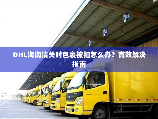 DHL海淘清关时包裹被扣怎么办?高效解决指南 DHL海淘清关时包裹被扣怎么办?高效解决指南