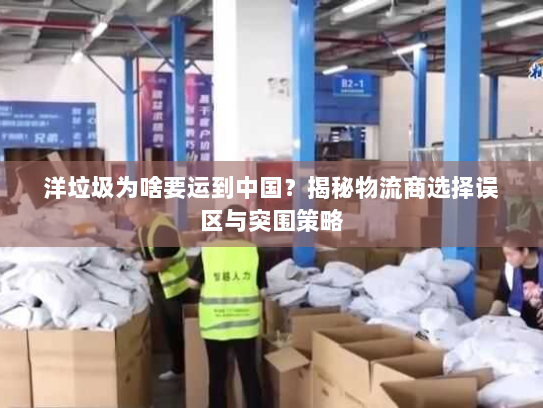 洋垃圾为啥要运到中国？揭秘物流商选择误区与突围策略