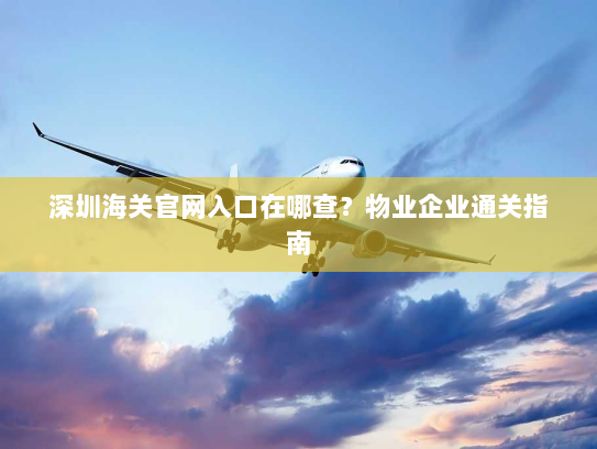深圳海关官网入口在哪查？物业企业通关指南