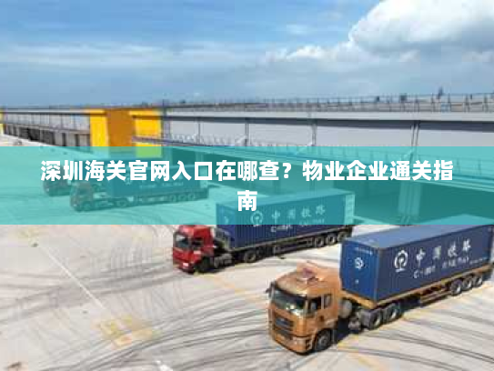 深圳海关官网入口在哪查？物业企业通关指南