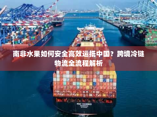 南非水果如何安全高效运抵中国？跨境冷链物流全流程解析