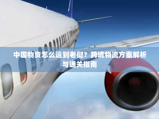 中国物资怎么运到老挝？跨境物流方案解析与通关指南