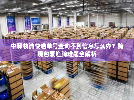 中驿物流快递单号查询不到信息怎么办?跨境包裹追踪难题全解析 中驿物流快递单号查询不到信息怎么办?跨境包裹追踪难题全解析