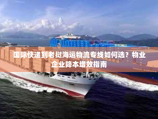 国际快递到老挝海运物流专线如何选?物业企业降本增效指南 国际快递到老挝海运物流专线如何选?物业企业降本增效指南