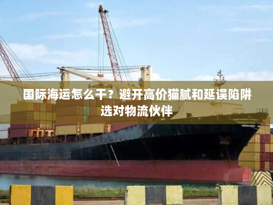 国际海运怎么干?避开高价猫腻和延误陷阱选对物流伙伴 国际海运怎么干?避开高价猫腻和延误陷阱选对物流伙伴