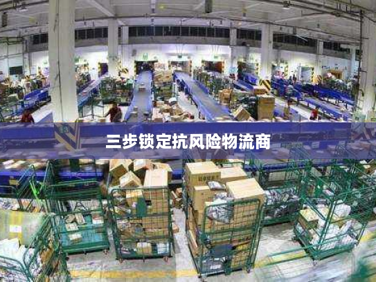 三步锁定抗风险物流商 三步锁定抗风险物流商