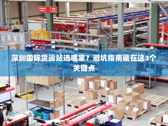 深圳国际货运站选哪家?避坑指南藏在这3个关键点 深圳国际货运站选哪家?避坑指南藏在这3个关键点