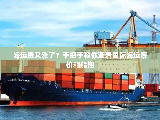 海运费又涨了?手把手教你查清国际海运底价和船期 海运费又涨了?手把手教你查清国际海运底价和船期