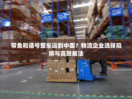 带鱼和谐号整车运到中国？物流企业选择陷阱与高效解法