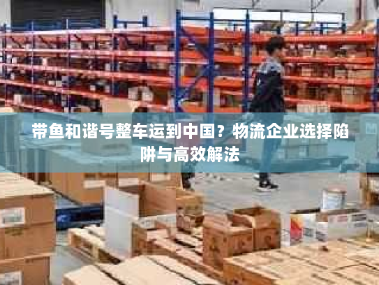 带鱼和谐号整车运到中国？物流企业选择陷阱与高效解法