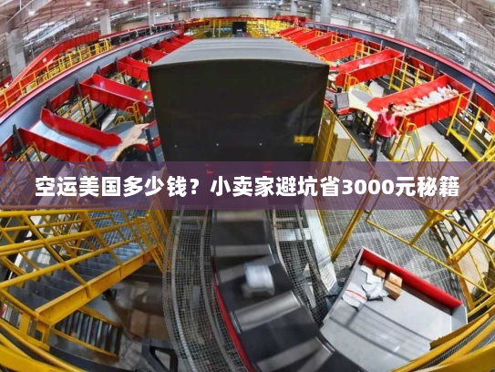 空运美国多少钱?小卖家避坑省3000元秘籍 空运美国多少钱?小卖家避坑省3000元秘籍