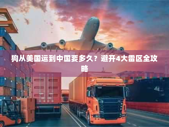 狗从美国运到中国要多久？避开4大雷区全攻略