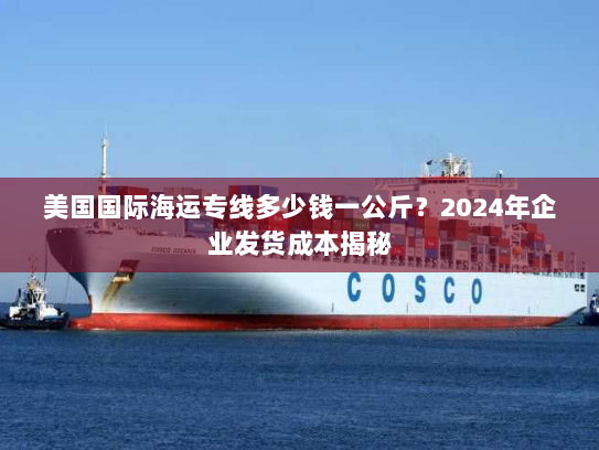 美国国际海运专线多少钱一公斤？2024年企业发货成本揭秘