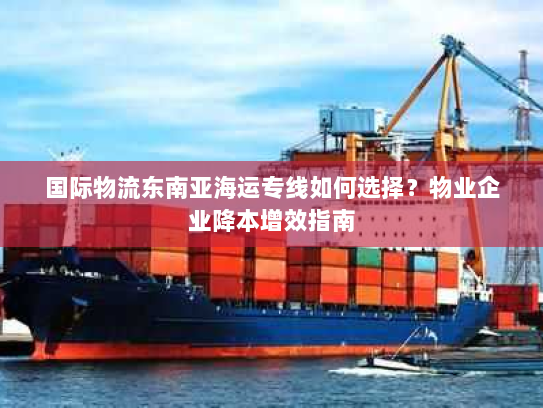 国际物流东南亚海运专线如何选择？物业企业降本增效指南