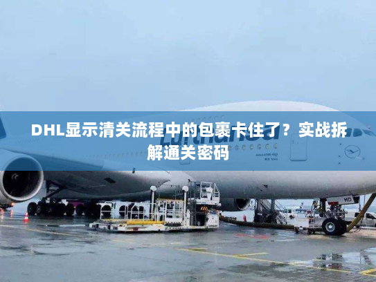 DHL显示清关流程中的包裹卡住了?实战拆解通关密码 DHL显示清关流程中的包裹卡住了?实战拆解通关密码