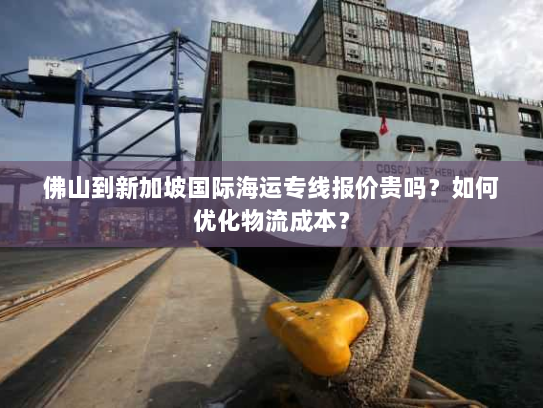 佛山到新加坡国际海运专线报价贵吗？如何优化物流成本？