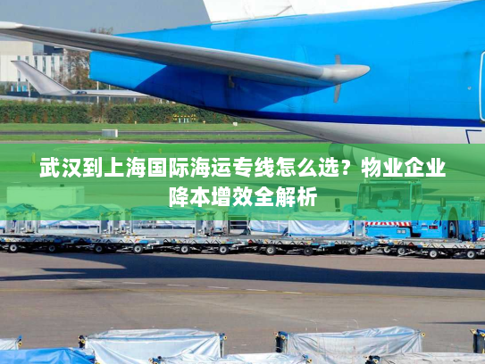 武汉到上海国际海运专线怎么选？物业企业降本增效全解析