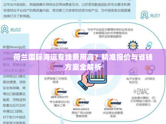荷兰国际海运专线费用高？精准报价与省钱方案全解析