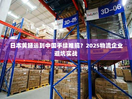 日本黄鳝运到中国手续难搞?2025物流企业避坑实战 日本黄鳝运到中国手续难搞?2025物流企业避坑实战