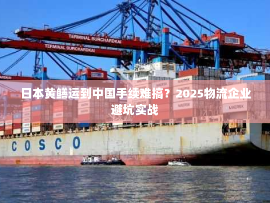 日本黄鳝运到中国手续难搞?2025物流企业避坑实战 日本黄鳝运到中国手续难搞?2025物流企业避坑实战