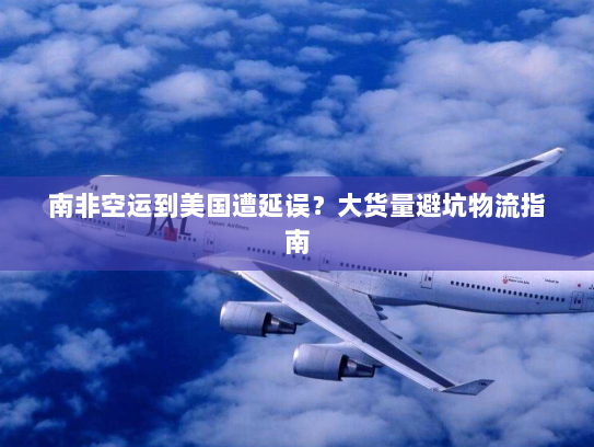 南非空运到美国遭延误?大货量避坑物流指南 南非空运到美国遭延误?大货量避坑物流指南