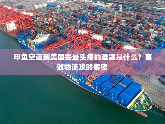 甲鱼空运到美国去最头疼的难题是什么?高效物流攻略解密
