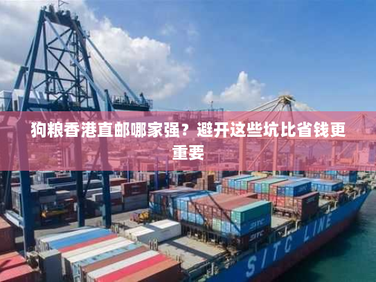 狗粮香港直邮哪家强?避开这些坑比省钱更重要 狗粮香港直邮哪家强?避开这些坑比省钱更重要