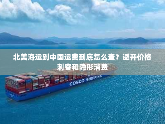 北美海运到中国运费到底怎么查?避开价格刺客和隐形消费 北美海运到中国运费到底怎么查?避开价格刺客和隐形消费