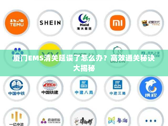 厦门EMS清关延误了怎么办?高效通关秘诀大揭秘 厦门EMS清关延误了怎么办?高效通关秘诀大揭秘