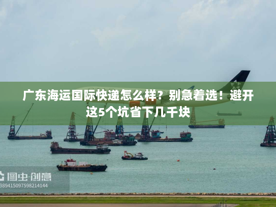 广东海运国际快递怎么样？别急着选！避开这5个坑省下几千块