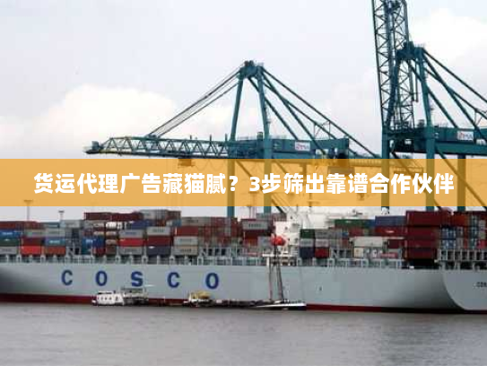 货运代理广告藏猫腻？3步筛出靠谱合作伙伴